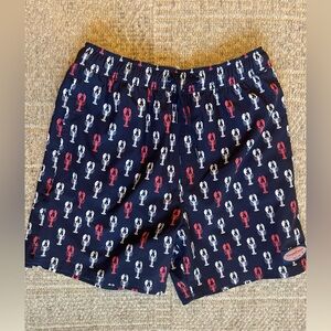 EUC Vineyard Vines Boys Swim Trunks size large (12/14)